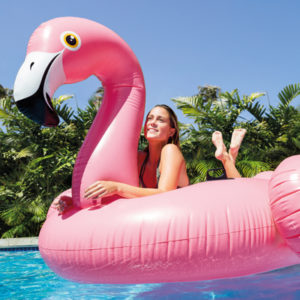 Zwemeiland flamingo