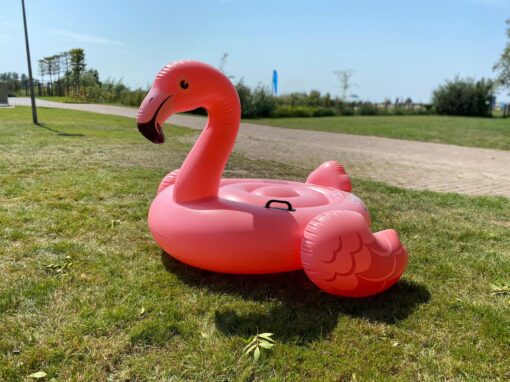 Intex opblaas flamingo